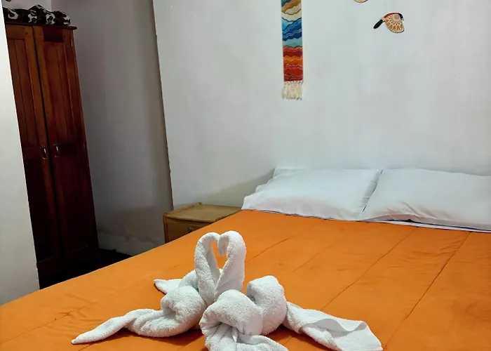 Big Vacation Cuzco